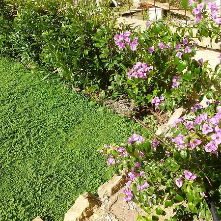 Prázdninový dům Torre Giardino *